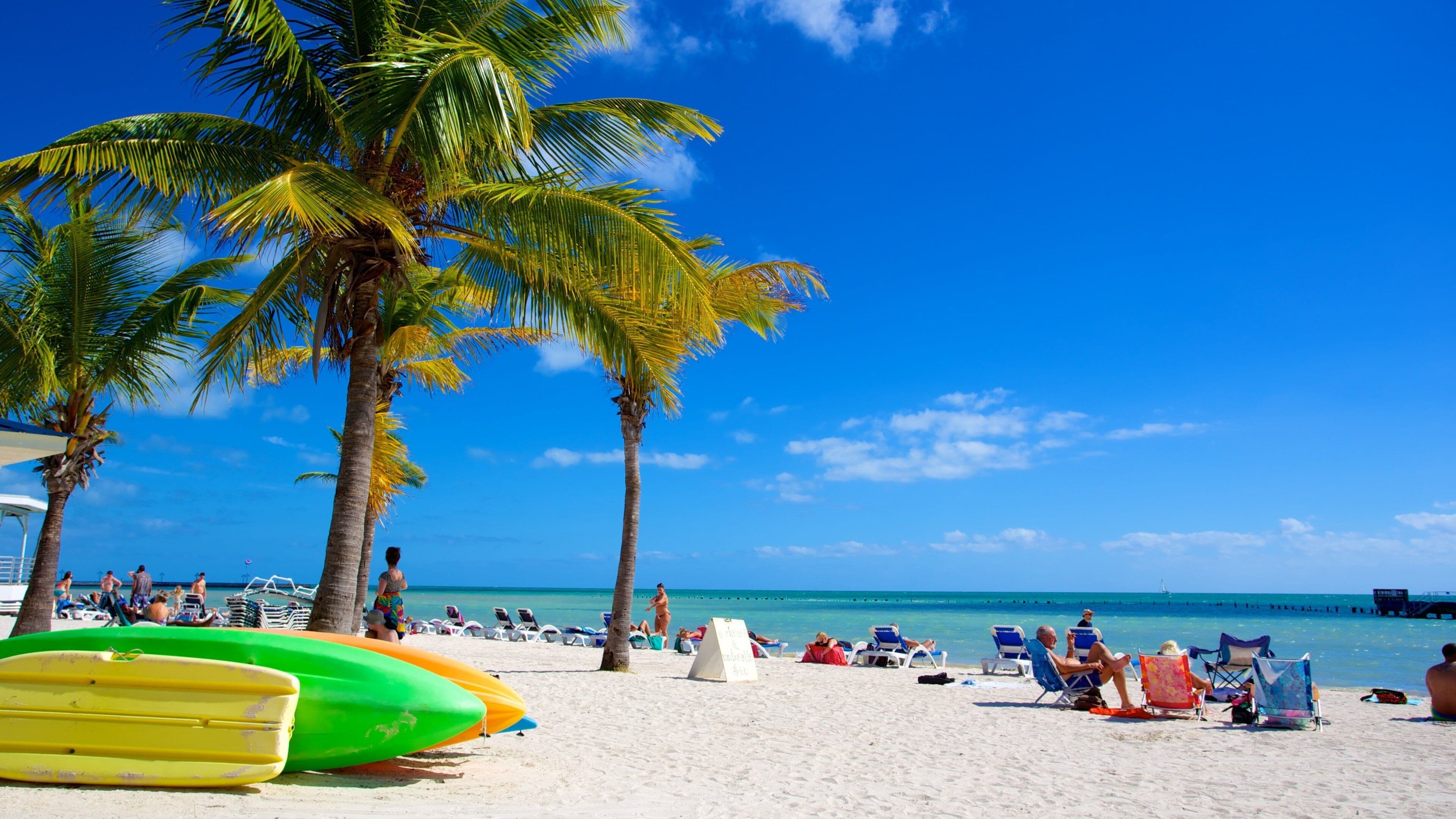The Florida Collection
